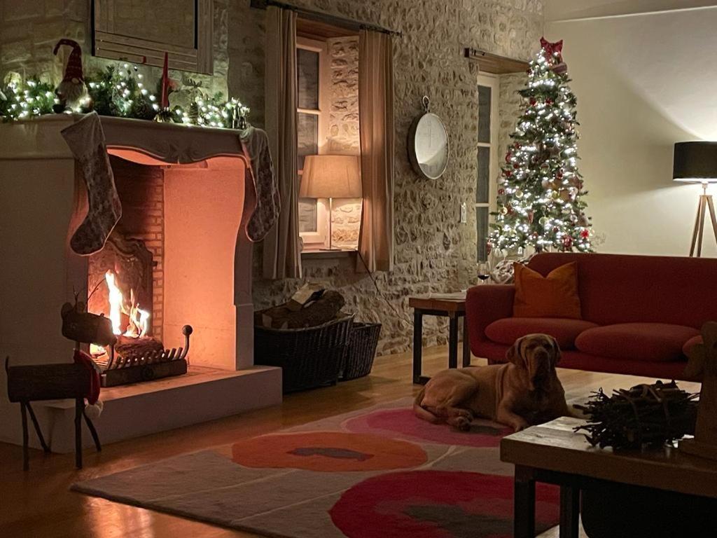 Uniquely Private Holiday Villa In The Charente Puyreaux Luaran gambar