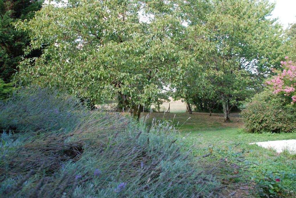 Uniquely Private Holiday Villa In The Charente Puyreaux Luaran gambar