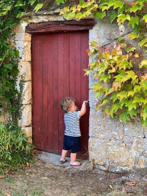 Uniquely Private Holiday Villa In The Charente Puyreaux Luaran gambar